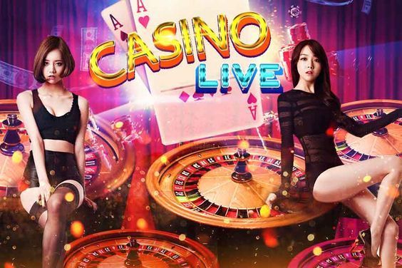 Bingo for Money Live Casino